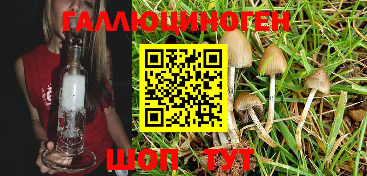 Полевской  Галлюциногенные грибы Magic Shrooms  Вход с VPN 